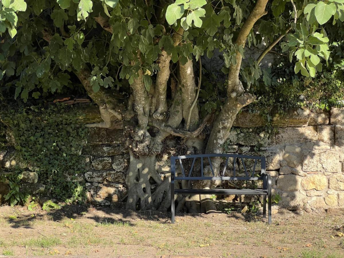 Gite Avec Piscine, Chateau De Lescours, St-Emilion Saint-Sulpice-de-Faleyrens Екстер'єр фото